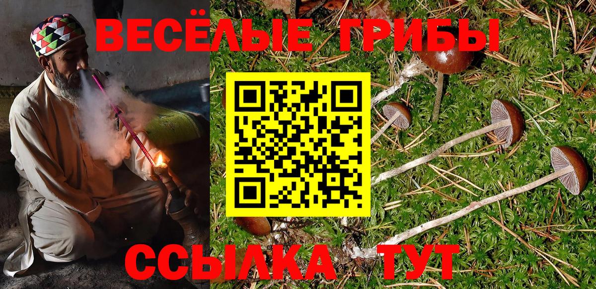 Анапа  Псилоцибиновые грибы мухоморы  Вход с VPN 