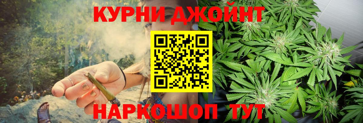 МАРИХУАНА сатива Анапа